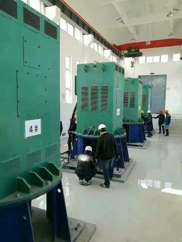 毛道乡某污水处理厂使用我厂的立式高压电机安装现场